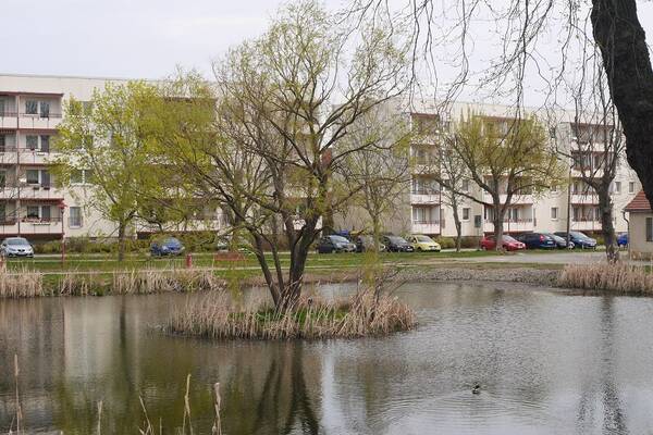 Für frisch Verliebte - Besonders helle Zweizimmerwohnung in ruhigem Umfeld