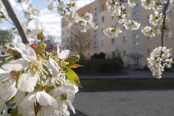 Wohnung oben, Preis unten - Günstige 2-Raum-Wohnung mit gemütlicher Wohnküche und Balkon