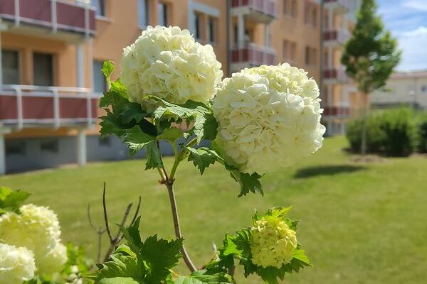 Azubis aufgepasst! - Bezahlbare Erdgeschosswohnung in begehrter Lage zu vermieten