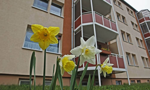 Viel Platz für Harmonie - Helle und geräumige Familienwohnung mit hochwertigem Designbelag und separatem WC