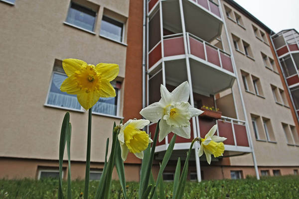 Viel Platz für Harmonie - Helle und geräumige Familienwohnung mit hochwertigem Designbelag und separatem WC