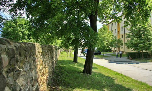 Fit bleiben und die Ruhe genießen - Gemütliche Familienwohnung in zentrumsnähe zu vermieten