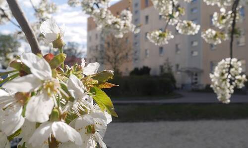 Wohnung oben, Preis unten - Günstige 2-Raum-Wohnung mit gemütlicher Wohnküche und Balkon